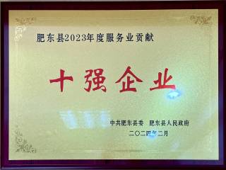 国维技术有限公司荣获肥东县2023年度服务业10强表彰